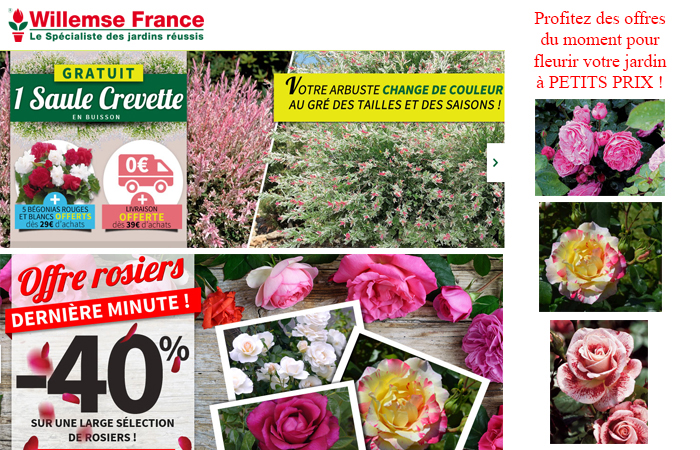 Willemse-catalogue-jardinerie