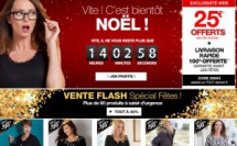 VENTE FLASH DAMART à -50% + Livraison garantie avant les fêtes !